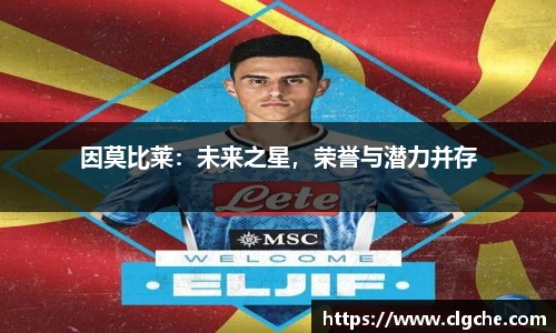 乐盈VI官网登录入口