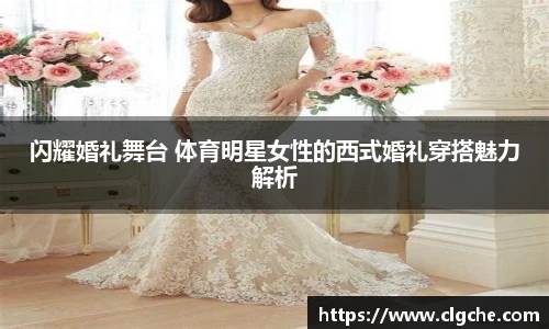 乐盈VI
