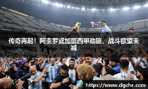 乐盈VI首页