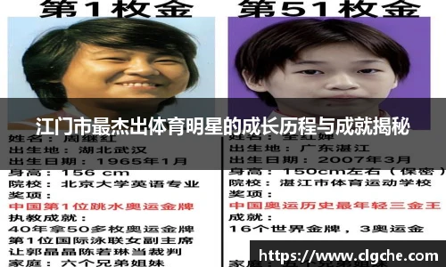 乐盈VI官网