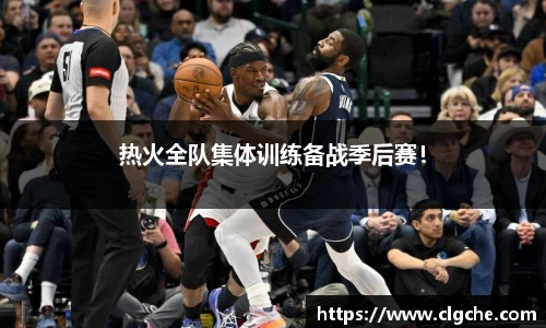 乐盈VI官网