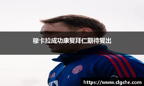 乐盈VI官网