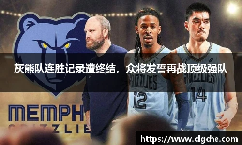 乐盈VI官网