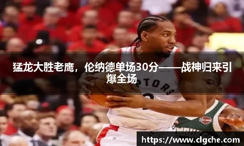 乐盈VI官网登录入口