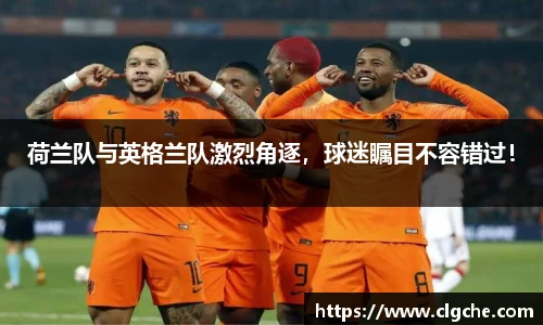 乐盈VI官网