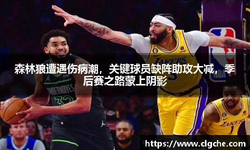 乐盈VI官网登录入口