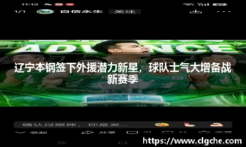 乐盈VI