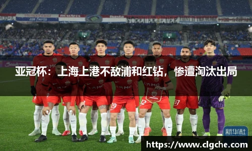 乐盈VI官网登录入口