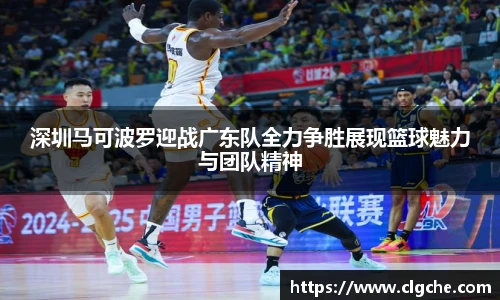 乐盈VI官网