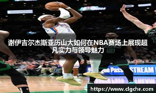 乐盈VI官网登录入口