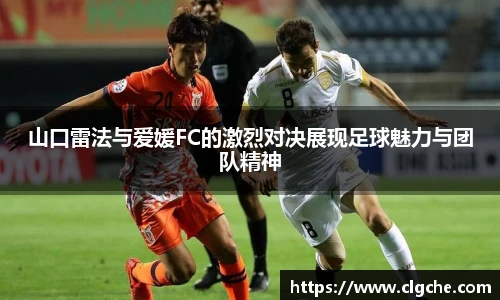 乐盈VI官网