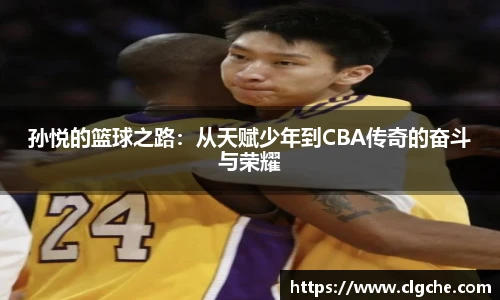 乐盈VI官网登录入口