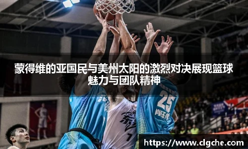 乐盈VI官网