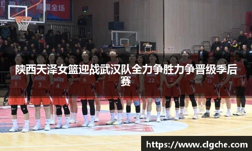 乐盈VI官网登录入口